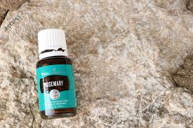 Spread the rosemary out on the cutting board, and let it dry overnight. Getting To Know Your Oils Rosemary Essential Oil Recipes With Essential Oils