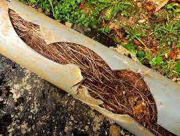 For $99,1 a licensed plumber will come to your home, diagnose the problem and tell you exactly what needs to be done to fix it. Cost Of Under Slab Plumbing Repair