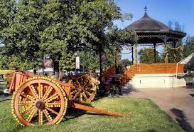 Kioskos De Mexico Monterrey Mexico Feria De La Naranja En Montemorelos Fotos Monterrey Mexico Naranja Feria