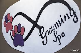Pet groomer in brownsville, tx. Claws And Paws Pet Parlours In Gansbaai Xplorio Gansbaai
