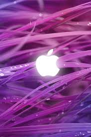 • wallpapers designed specifically to fit your iphone for either your home or lock screen • icon sets to change up the look of your iphone… Iflow Iphone Wallpaper Good Wallpaper For Iphone 640x960 Download Hd Wallpaper Wallpapertip
