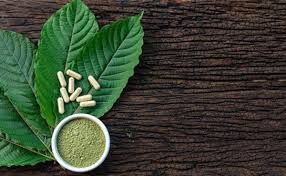 What Is The Difference Between Kratom Powder And Extract? » Health &  Wellness » Garden & Greenhouse