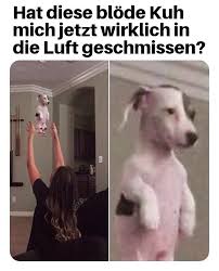 Pin Von Toki Auf Witzig Lustige Bilder Lustig Witzige Tiere