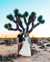 Discover the best campsites in joshua tree national park, california. Joshua Tree Photo Spots Best Instagram Spots In The Park