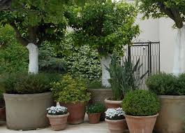 Check spelling or type a new query. 10 Plantes D Exterieur Increvables Magazine Avantages