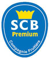 Straight2bank supports login via your registered email. Compagnie Fruitiere Scb Premium Bananas Are Grown In Cote D Ivoire Cameroon Or Ghana