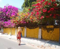 Tripadvisor has 70,222 reviews of pondicherry hotels, attractions, and restaurants making it your best pondicherry resource. Complete Pondicherry Travel Guide Things To Do Where Goes Rose