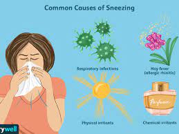 Common Sneezing Causes And Triggers