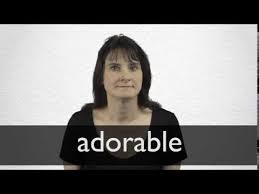 Adorable Definition And Meaning Collins English Dictionary