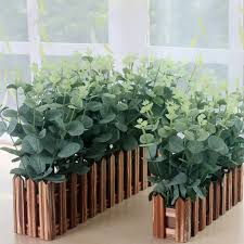 Greenleaf nurseries offers the largest and most diverse range of plant species and cultivars in new zealand. 1pcs Eucalyptus Ugali Green Leaf Artificial Flower Plant Green Leaves Office Home Decoration Shopee Malaysia