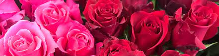 Maybe you would like to learn more about one of these? Same Day Valentine S Flowers London Luxury Valentine S Day Bouquets