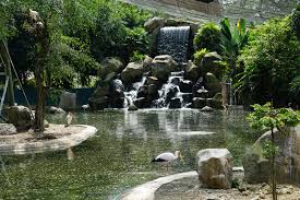 dapatkan penawaran telepon lihat rute. Kl Bird Park Dibuka Kembali Dengan Pematuhan Sop