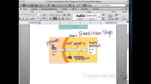 What is the equation for cellular respiration? Transition Step Cellular Respiration Ap Biology Youtube