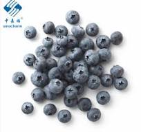 Supply IQF Frozen Blueberry Wholesale Factory - XIAMEN ...