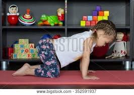 Theres cat pose (marjaryasana) and cow pose (bitilasana). Cat Cow Pose Images Illustrations Vectors Free Bigstock