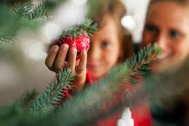 5,607,143 Christmas Stock Photos