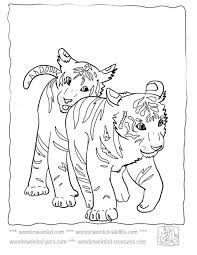 This article created on the may 9, 2021, by alisha legerstee. Baby Tiger Color Page In 2021 Tiger Coloring Pages Tiger Coloring Horse Coloring Pages