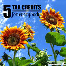 Pin On Financial Freedom