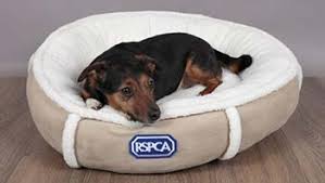 For those interested in large dog beds for labradors, german shepherds or other similar sized. Choosing The Perfect Dog Bed Rspca