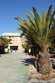 We did not find results for: Facultad De Educacion Universidad De Murcia Facultad De Educacion Educacion Campus Universitario