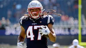 The patriots have signed a tight end. New England Patriots German Fb Jakob Johnson Finds Success As Part Of Football S Dying Breed