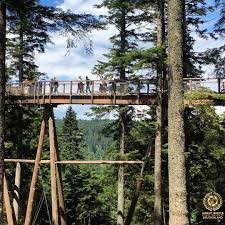 pin on germany travel