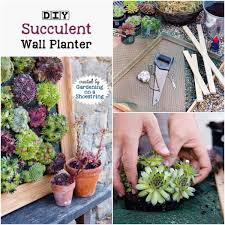 If you live in a cooler climate, be prepared to bring your succulent planters in for the winter months. Diy Succulent Wall Planter Empress Of Dirt