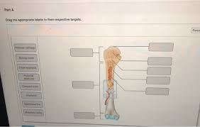 The device is marked in …. Solved Part A Use The Figure To Match The Following Bon Chegg Com