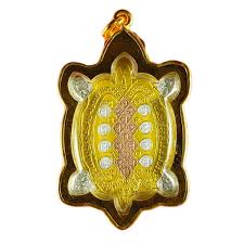 Image result for Triumfetta amuletum