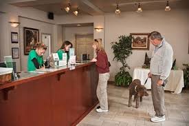 Explore other popular pets near you from over 7 million businesses with over 142 million reviews and opinions from yelpers. Dog And Cat Boarding Jobs In Seattle Seatac Hillrose Pet Resort