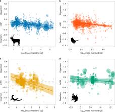 Muni he was born in chengdu, sichuan, china. The Island Rule Explains Consistent Patterns Of Body Size Evolution In Terrestrial Vertebrates Nature Ecology Evolution