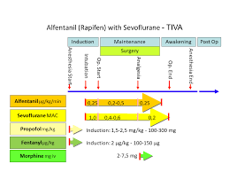 narkosguiden in englishintravenous anesthesia tci tiva