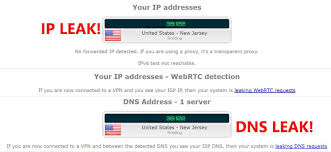 The Difference Between Dns And Ip Leak And How Purevpn Can Protect You Ip Address How To Be Outgoing How To Memorize Things