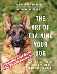 I have been a chicago dog training trainer since 2002 and chicago dog. Dog Training And Doggy Boot Camp With Marc Goldberg
