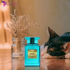 Pin On Unisex Perfume Fragrance