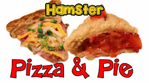 Pin On For My Hamster