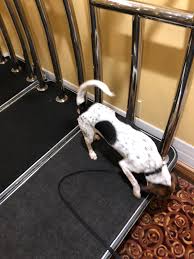 This list will help you pick the right pro exterminator in north port, fl. Ace Pest Management Pest Control North Port Fl Pest Control Southwest Fl We Are Your Hometown Exterminators Sadie