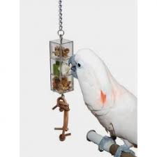 Animaux , oiseau etat neuf كاين لي كوبل animaux , accessoire pour animaux produit neuf jamais utilisé fabrications cages d'elevages. Jouets Pour Perruches Et Perroquets Qualitybird La Boutique De Vos Oiseaux