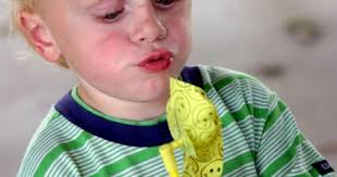 Westby Times Weekly Photo