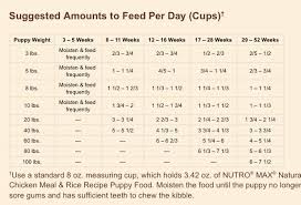Nutro Puppy Feeding Chart Puppy Feeding Guide Puppy