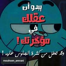 157 likes 7 comments هل استغفرت اليوم les bgs algerien original on instagram انا و غامبول عقلية وحدة funny arabic quotes funny words arabic funny