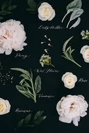 Check spelling or type a new query. Types Of Wedding Flowers By Colour Elegantwedding Ca