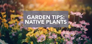 We did not find results for: Garden Corner The Importance Of Native Plants How To Care For Them Conner Homes Pacific Northwest Home Builders