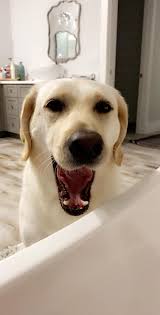 Little Jim Bait & Tackle