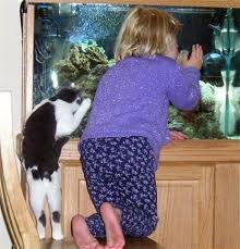 Kedi Ile Bebek Turkiye Nin Bebek Sitesi