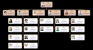 School Organizational Chart Lots Of School Organization