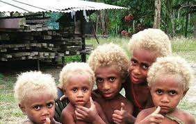 Many melanesians from the solomon islands have dark skin and blond hair. Meet The Melanasians Black People With Naturally Blonde Hair Blk Girl Culture