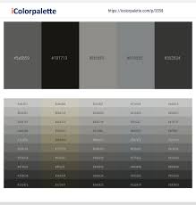 The hex codes can be found underneath each of the color swatches. 6 Latest Color Schemes With Rangoon Green And Natural Gray Color Tone Combinations 2021 Icolorpalette