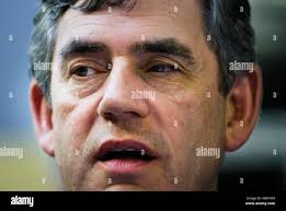 Gordon braun -Fotos und -Bildmaterial in hoher Auflösung