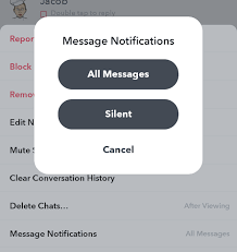 This is how to read your snapchat messages without opening them 🤫 share with your friends 🤗follow me!👻snapchat: The Best Snapchat Privacy Tips
